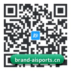 iOS 系统版 二维码(Ai)
